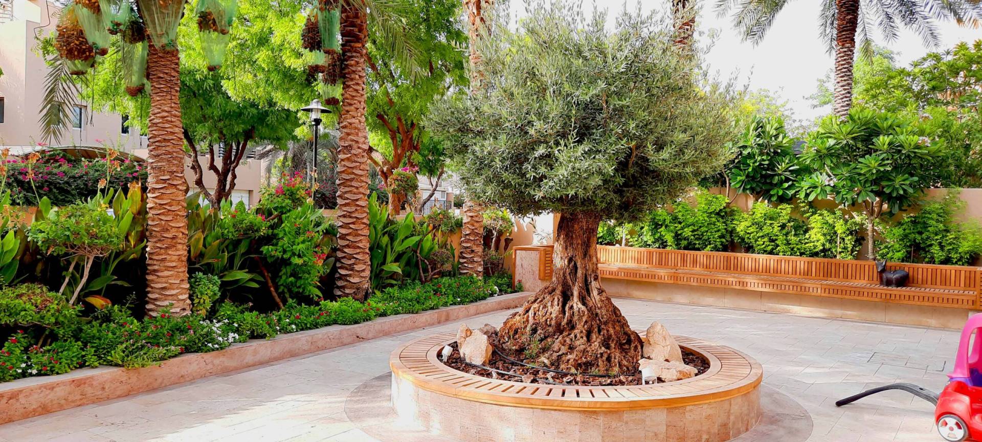 ECLCO Professional Team